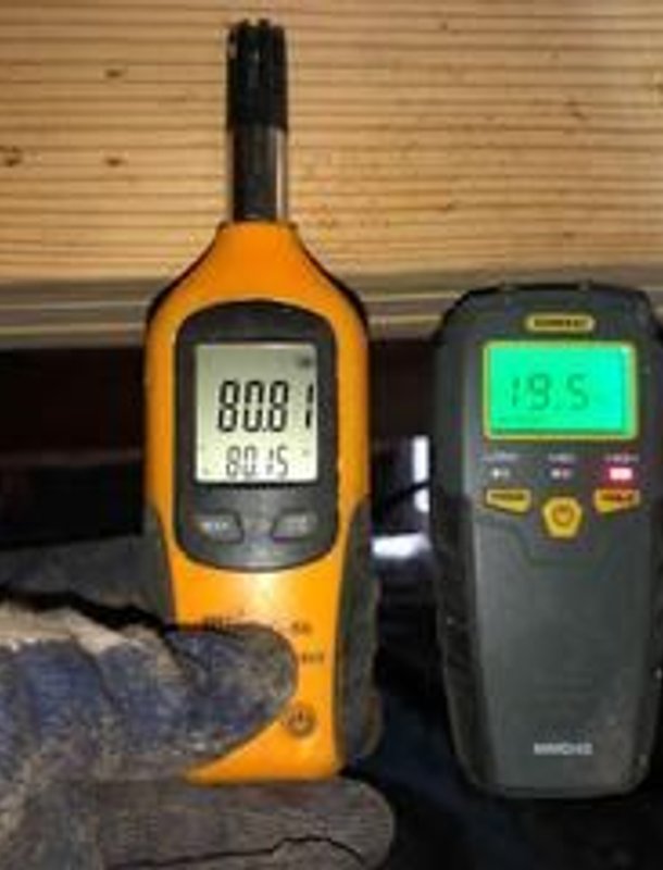 Mold detection on crawl space framing during inspection