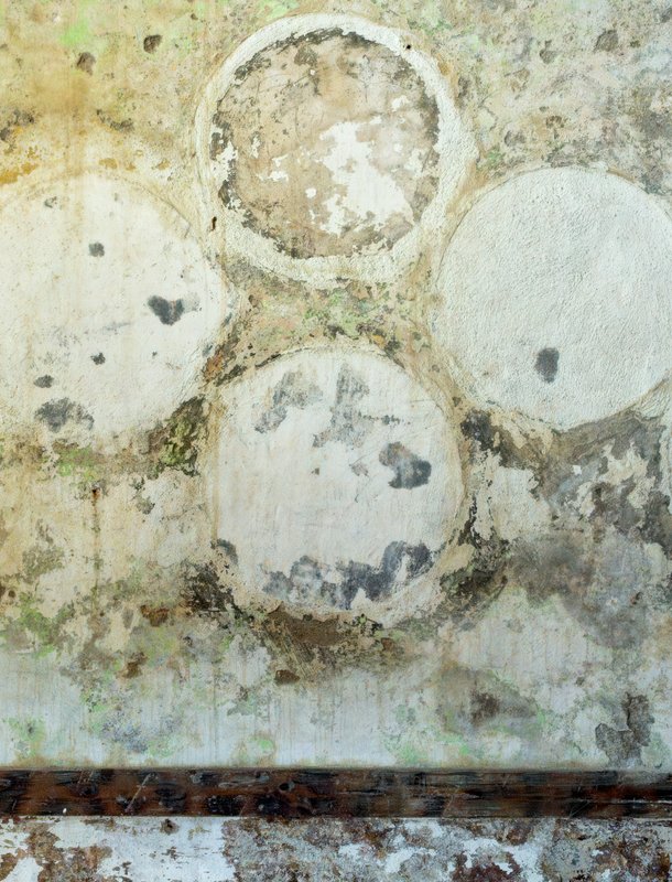 Mold on a crawl space wall